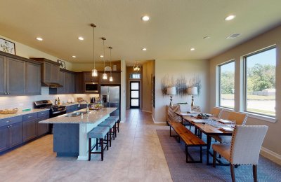 17668 Tree Of Heaven