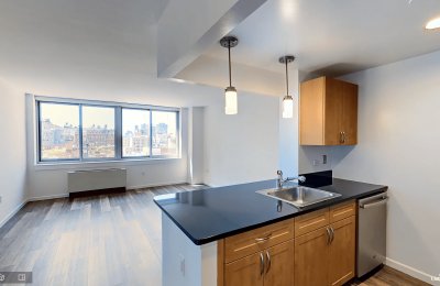 229 Chrystie Street, #1008