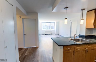 229 Chrystie Street, #713