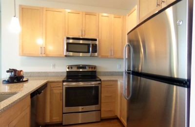 411 D Street, #509