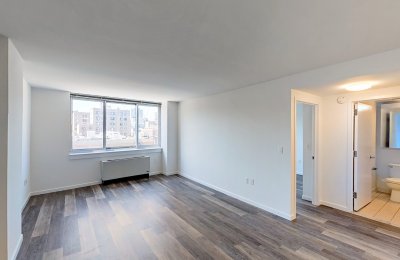 229 Chrystie Street, #733