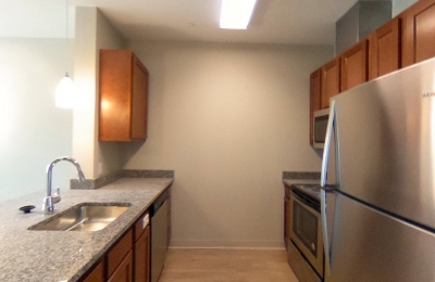 139 Pleasant Street, #259