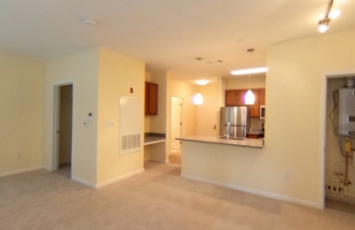 139 Pleasant Street, #258