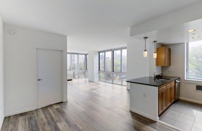 229 Chrystie Street, #316