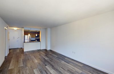 229 Chrystie Street, #738