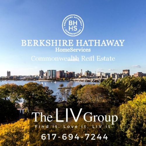 The LIV Group